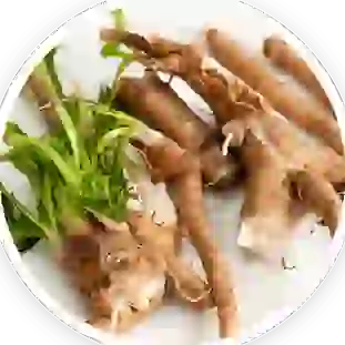 Chicory Root Inulin